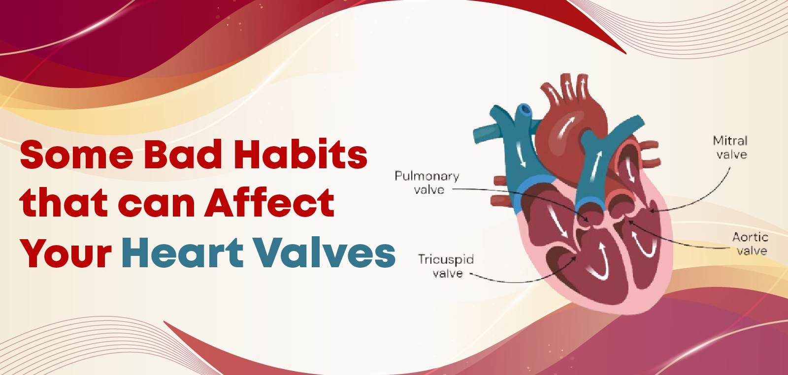 heart valves blog